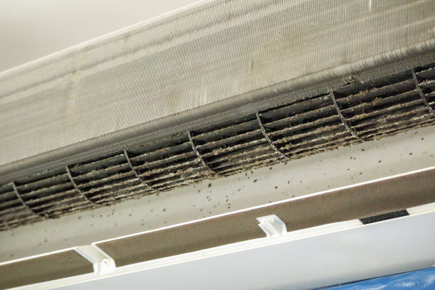 Best Air Duct Cleaning Cost  in Concord, MI